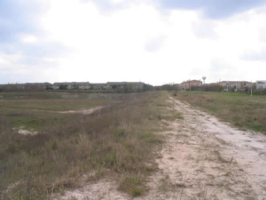 rick_rice_park_before_1