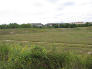 rick_rice_park_before_2